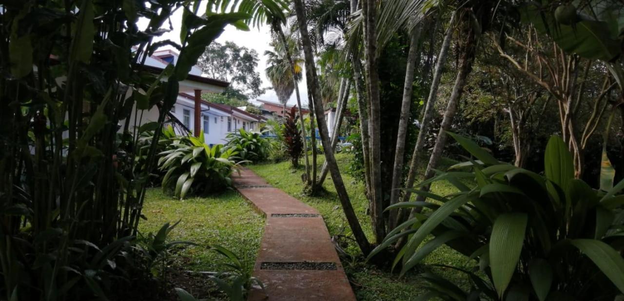 Geliwa B&B Turrialba Esterno foto